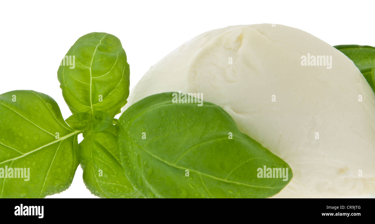 Mozzarella cheese and fresh basil isolated on white (with clipping path