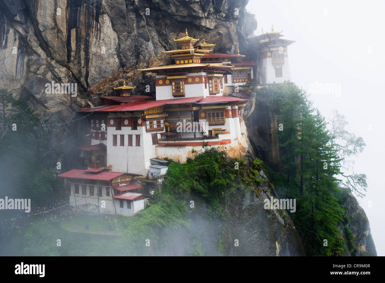 Tigers Nest in the mist, Taktshang Goemba, Paro Valley, Bhutan, Asia Stock Photo