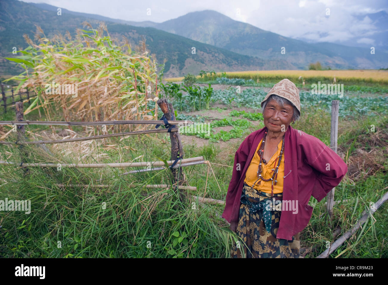 woman working in a field, Punakha, Bhutan, Asia Stock Photo