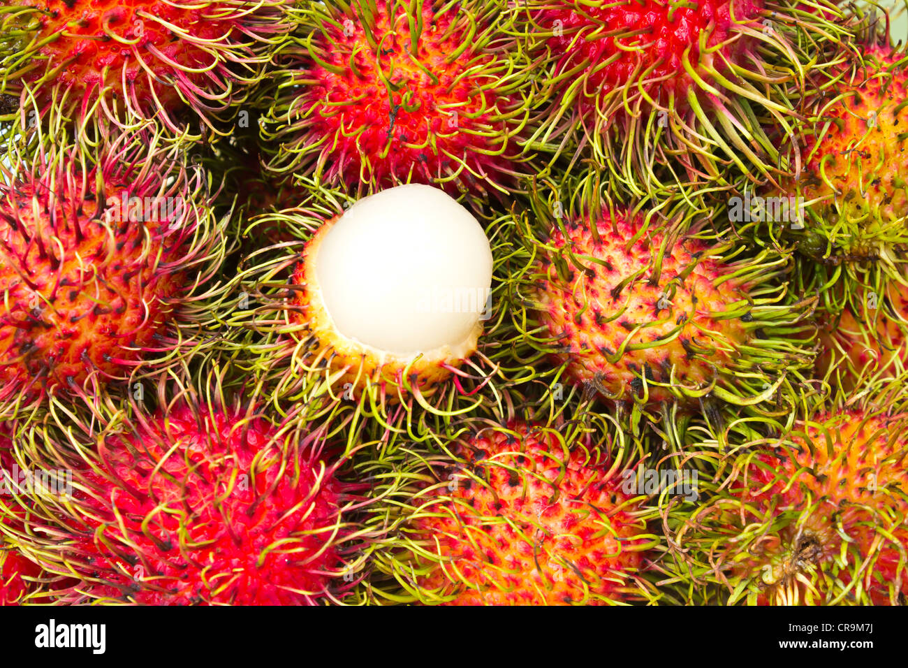 Rambutan leaves hi-res stock photography and images - Alamy