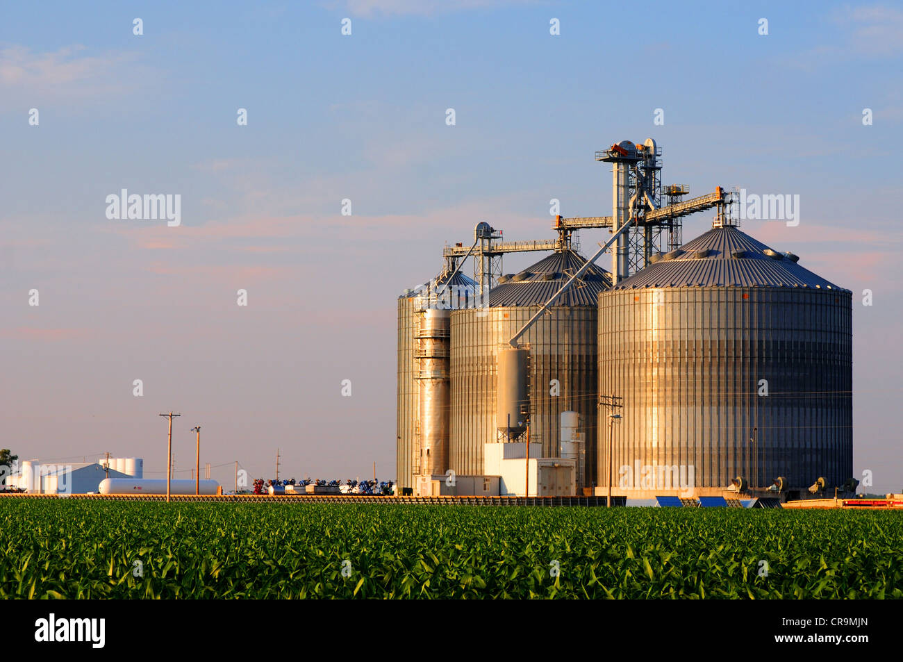 These large grain elevators hold corn or soybeans until transported by