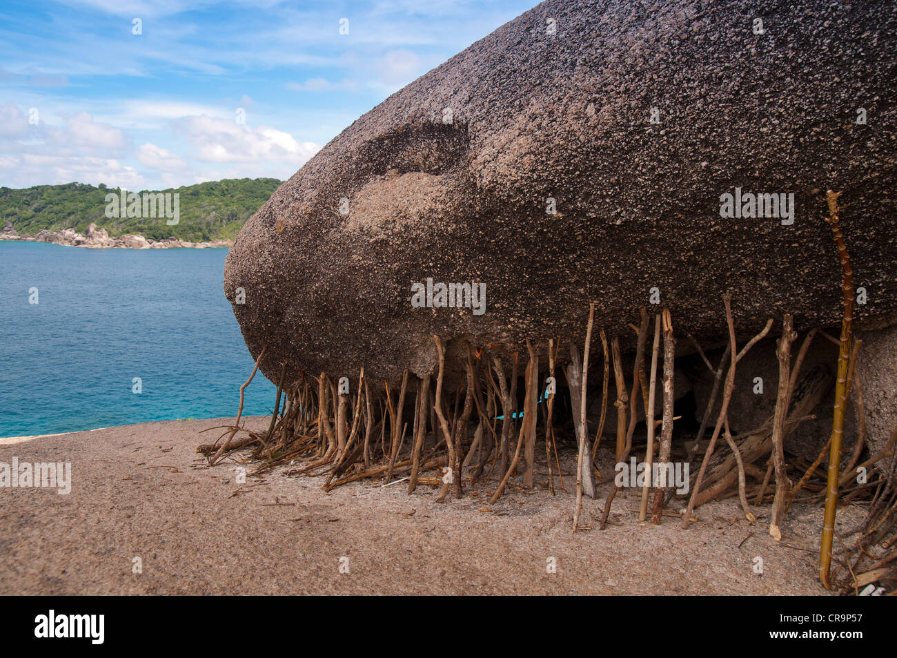 Sticks holding huge rock on Similan island Stock Photo