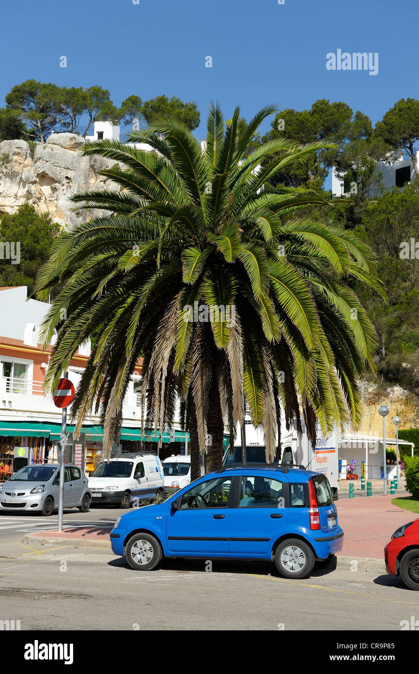 blue hire car parked next to a palm tree santa cala galdana menorca