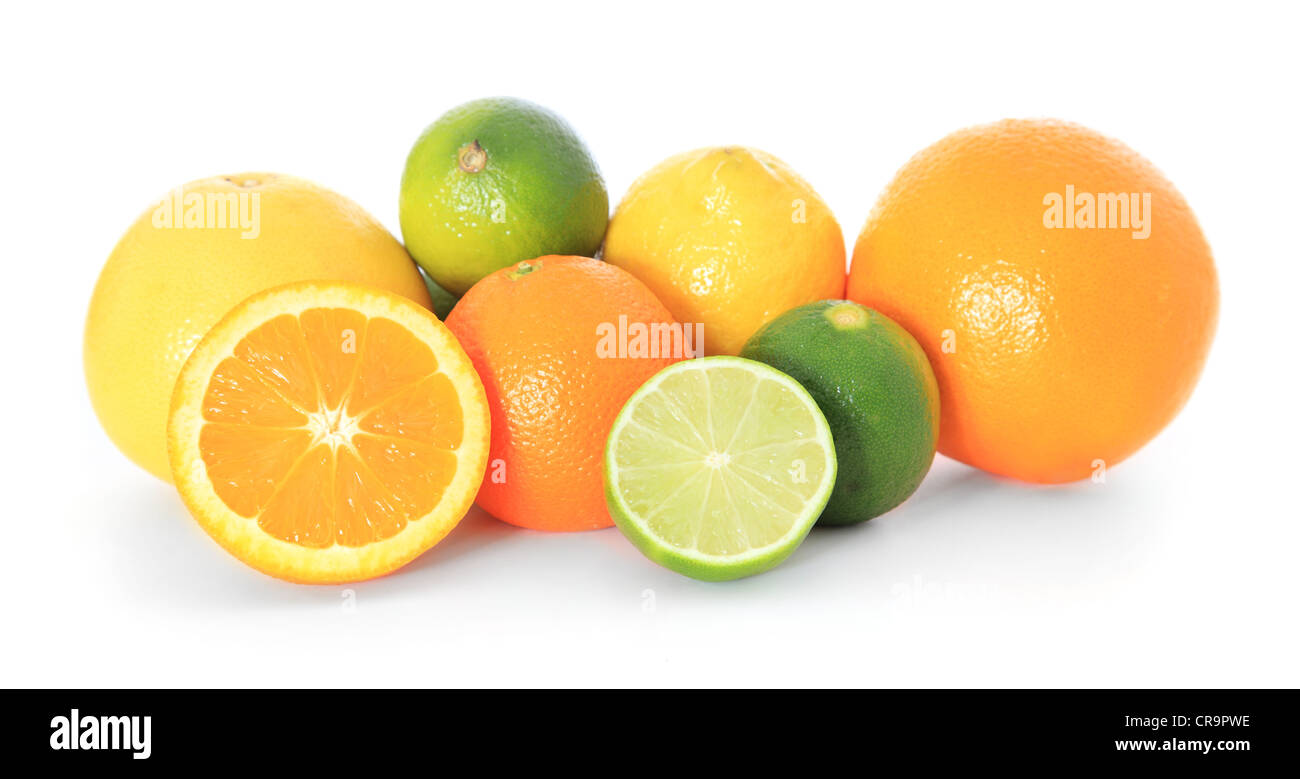 Various citrus fruits. All on white background. Stock Photo