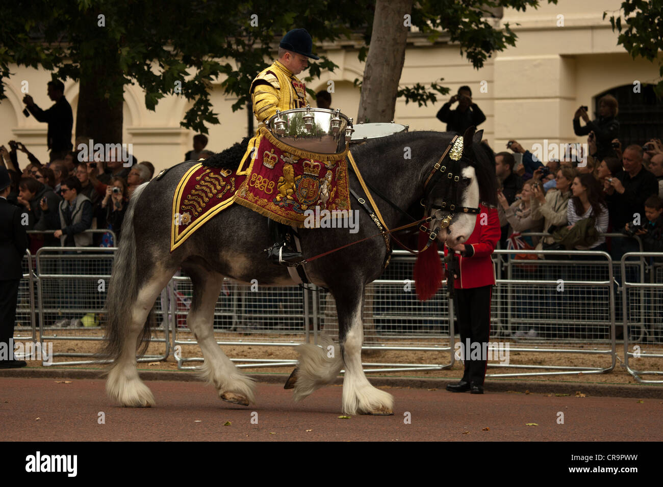 Drum Horse at the Trooping of the Color Mall London during the Diamond