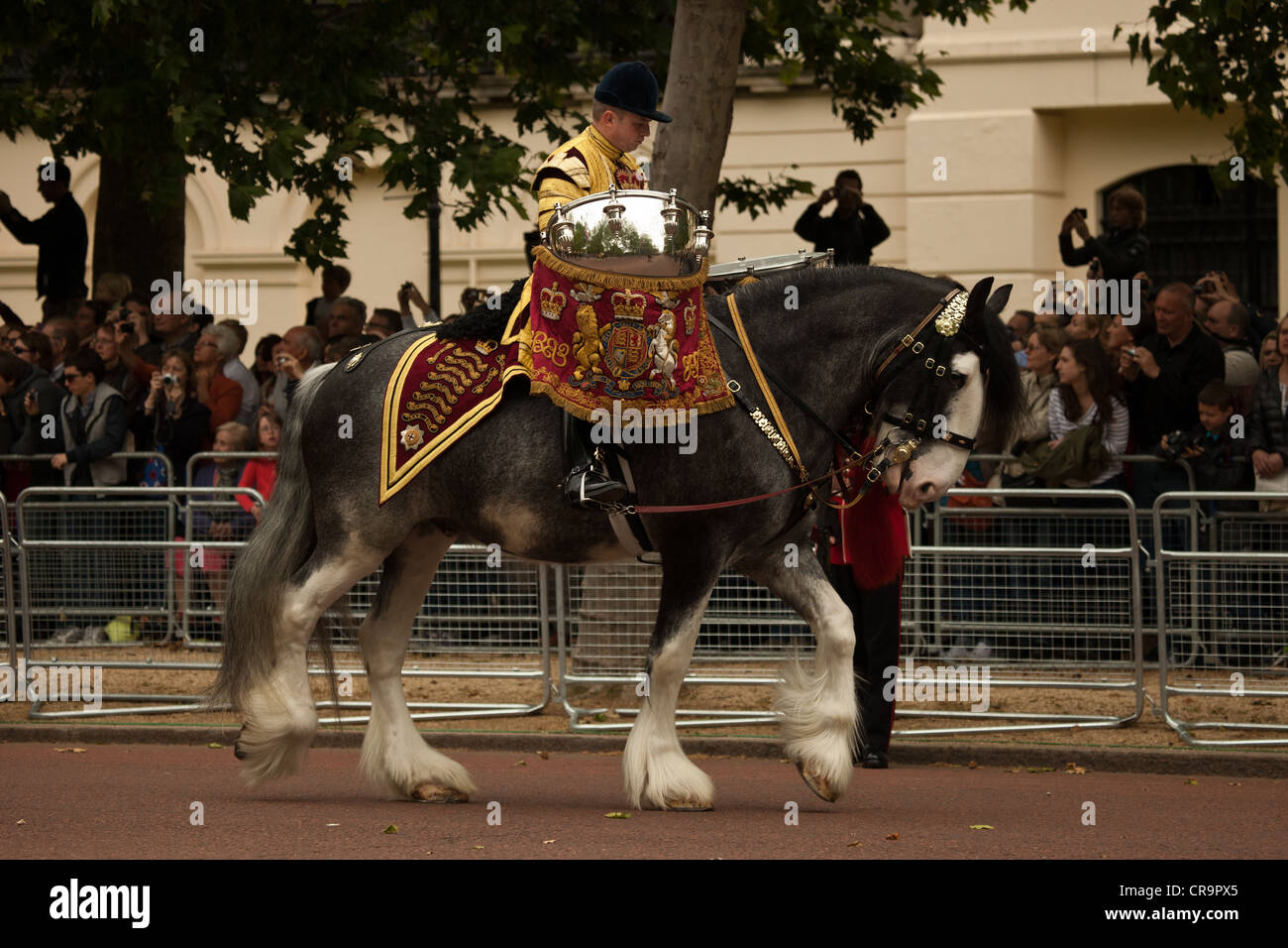 Drum Horse at the Trooping of the Color Mall London during the Diamond