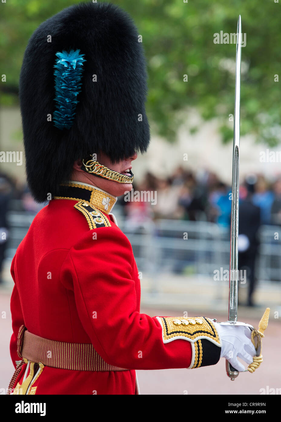 Guardsmen in the Mall for Trooping The Colour to celebrate The Queen's