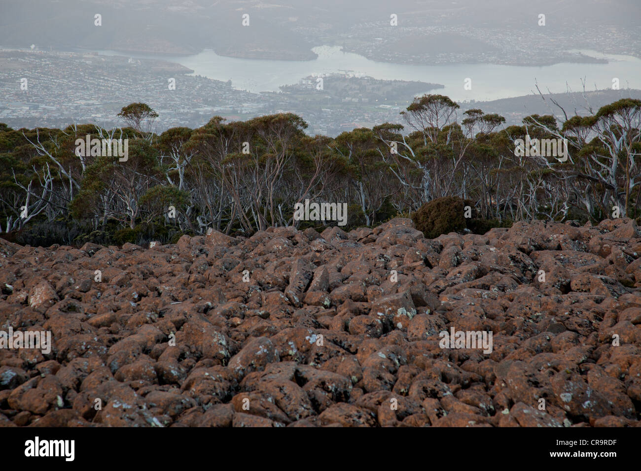 Scenic view of rocks and trees with lake in distant, Mount Wellington