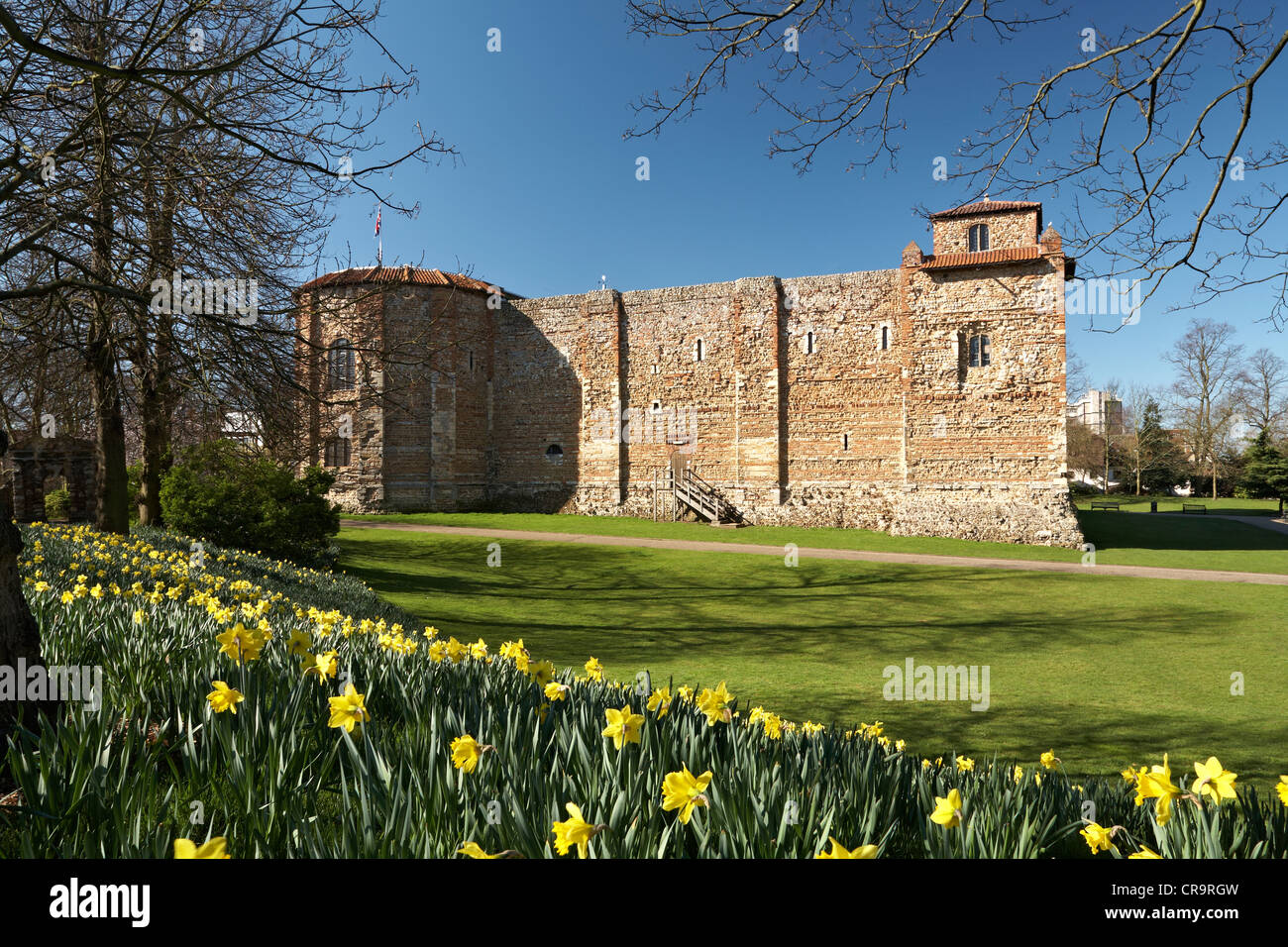 Great Britain England Essex Colchester Castle Museum Upper Castle Park Springtime Stock Photo