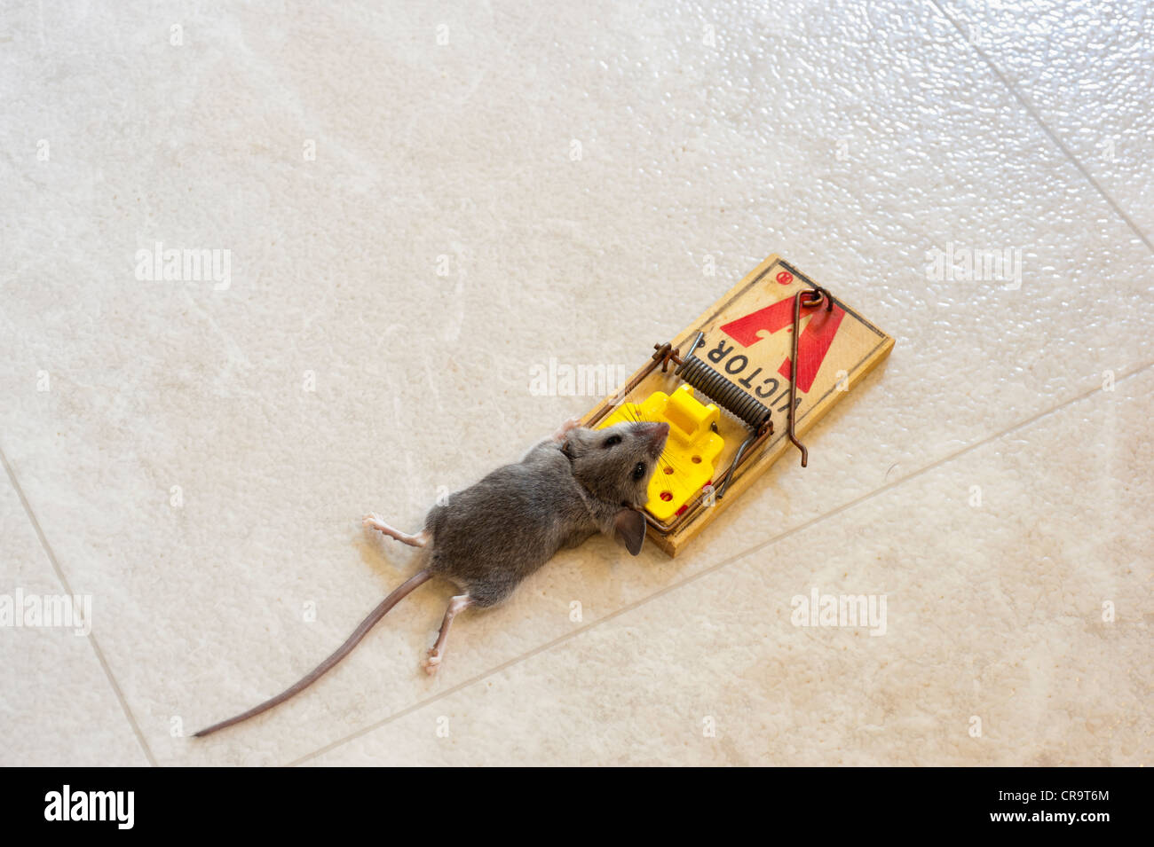 Victor trap hi-res stock photography and images - Alamy