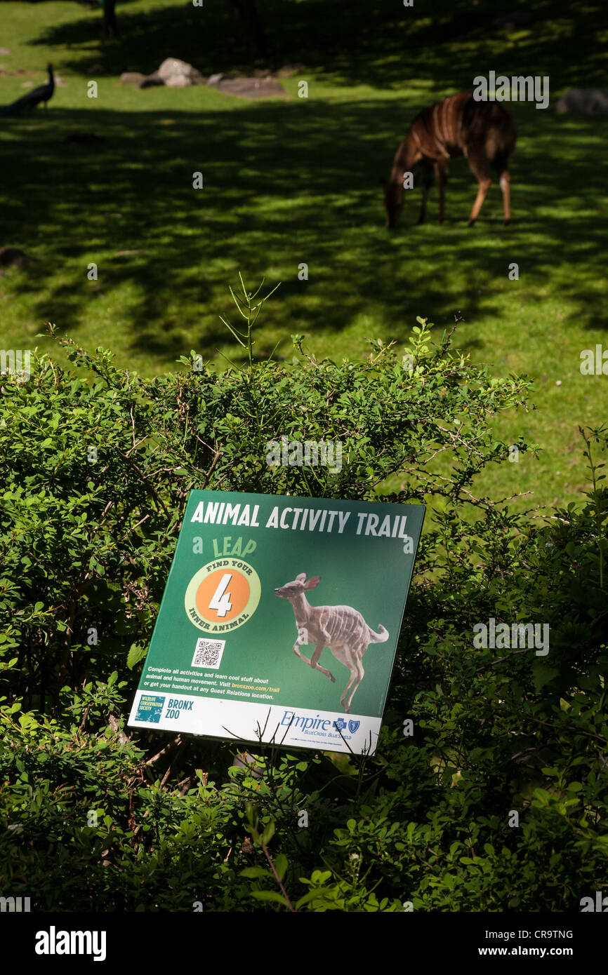 The Bronx Zoo, Wildlife Conservation Society, Bronx Park, Bronx, NYC