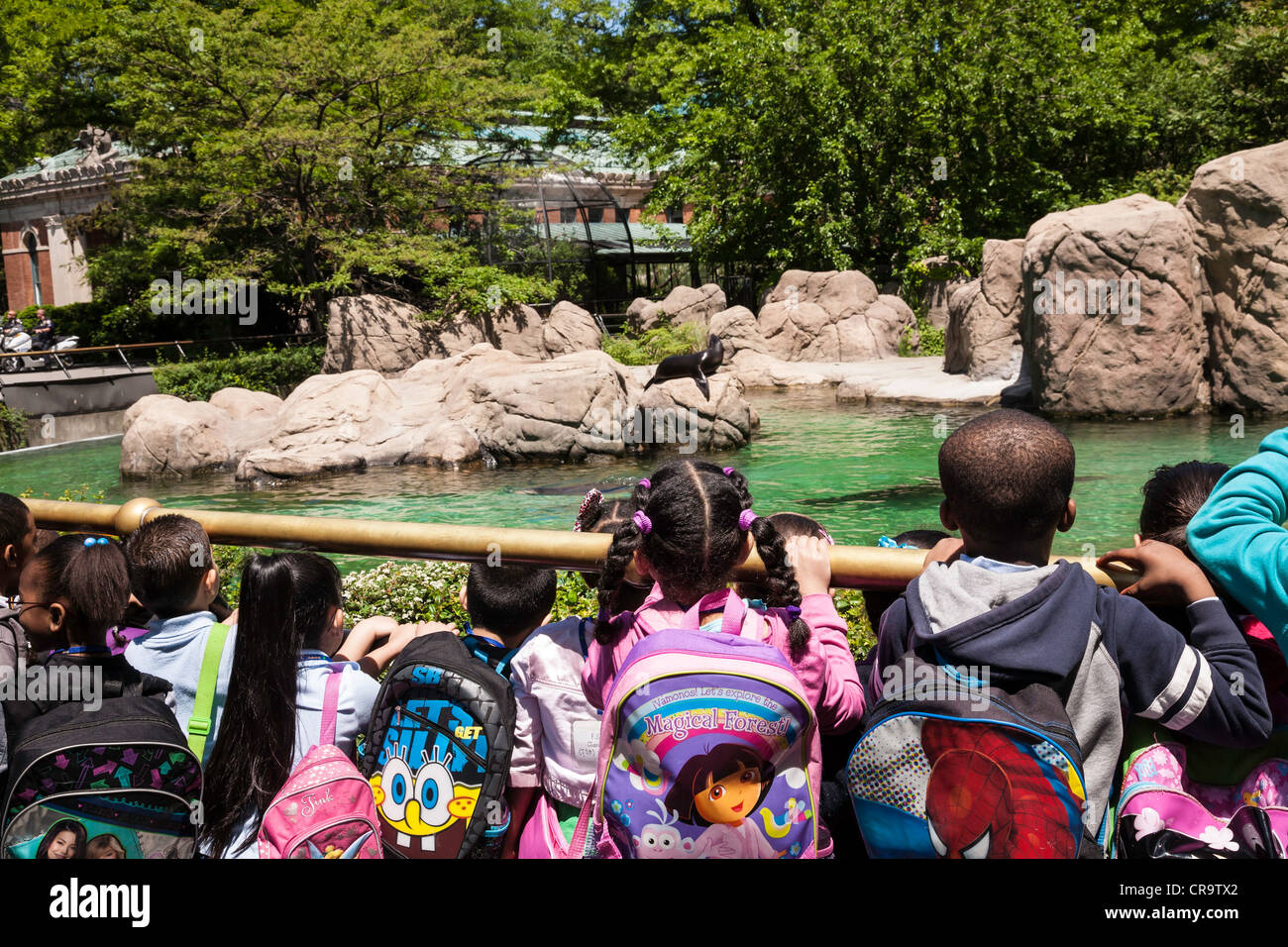 The Bronx Zoo, Wildlife Conservation Society, Bronx Park, Bronx, NYC