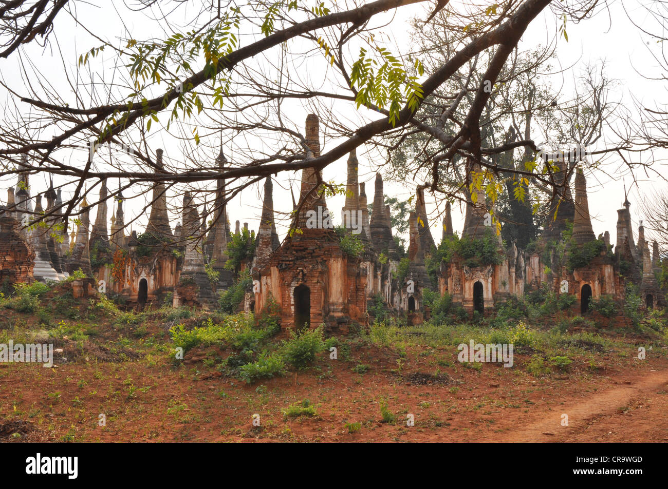 Indein hi-res stock photography and images - Alamy