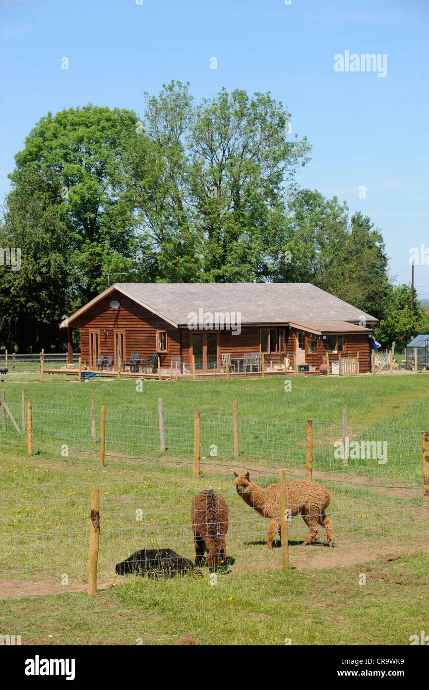 A log cabin or wooden chalet home on an Alpaca farm - a style of construction often used due to planning regulations UK Stock Photo