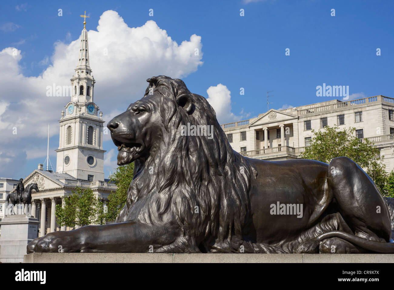 Trafalgar Square lion with spire of St Martin in the Field in the background London UK Stock Photo