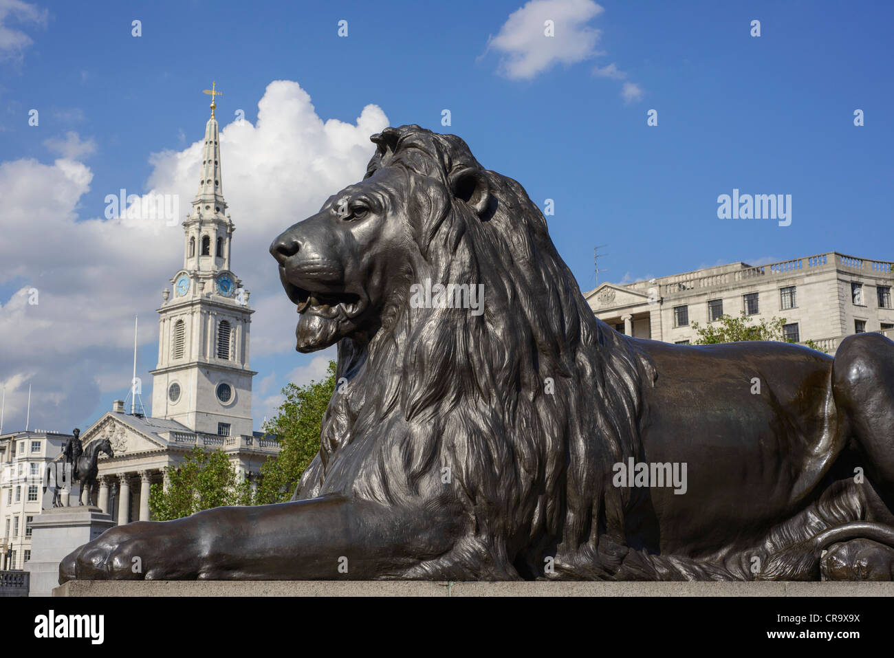 Trafalgar Square lion with the church of St Martin in the Field in the background London UK Stock Photo