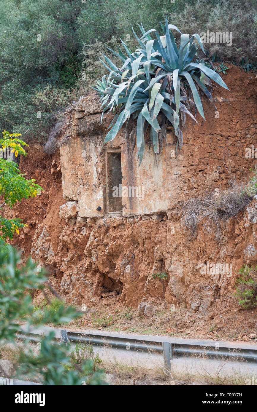 An enormous sisal plant grows from the roof of an abandoned building, left high above the new fast road, on Crete Stock Photo