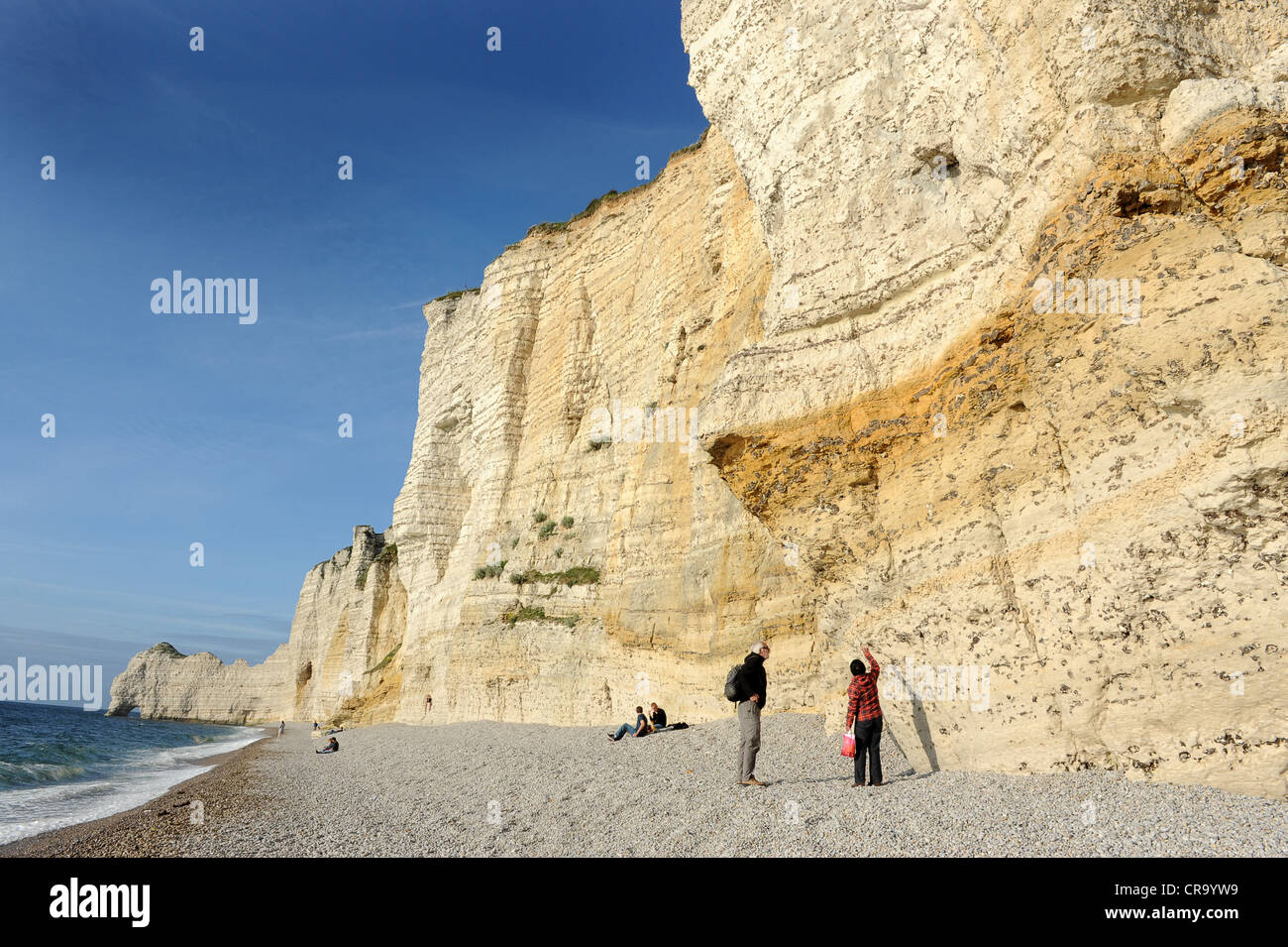 The chalk cliffs at Etretat Normandy France Stock Photo Alamy