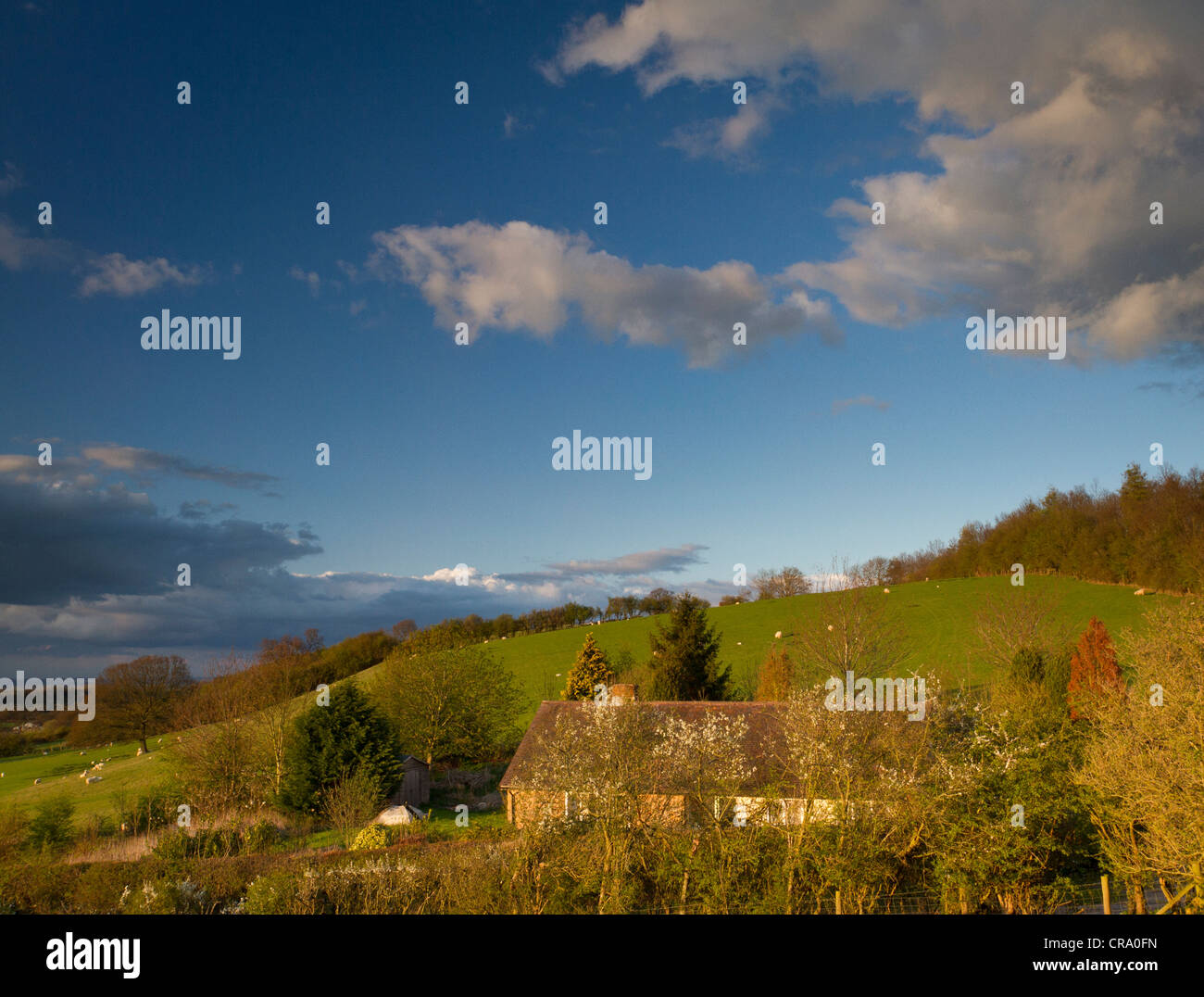 Grazing farmland with cloudy blue sky over British countryside in ...