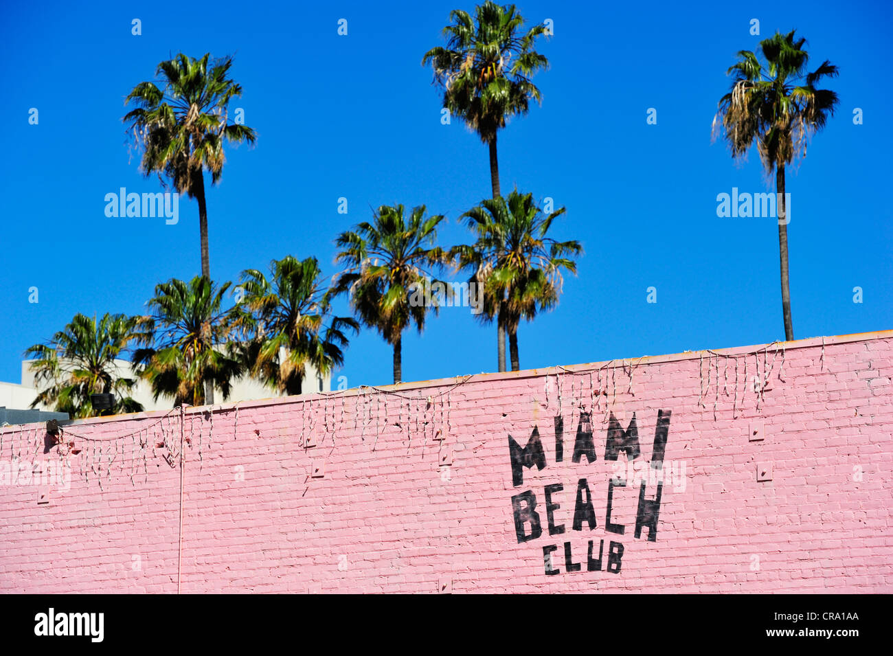 Miami Beach Club, San Jose, CA