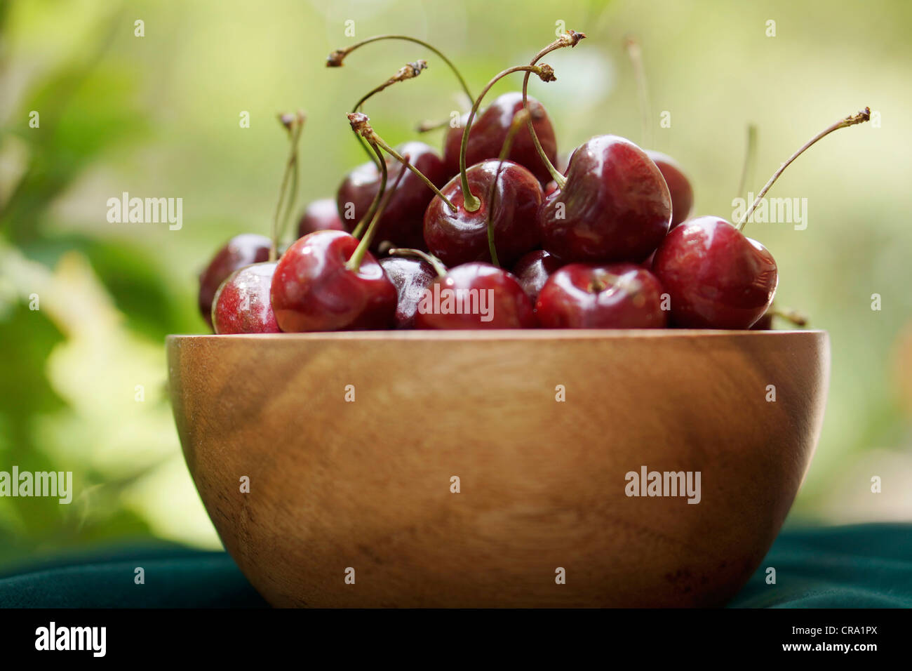 Bowl of Cherries, Wooden Bowl with Cherries Stock Photo