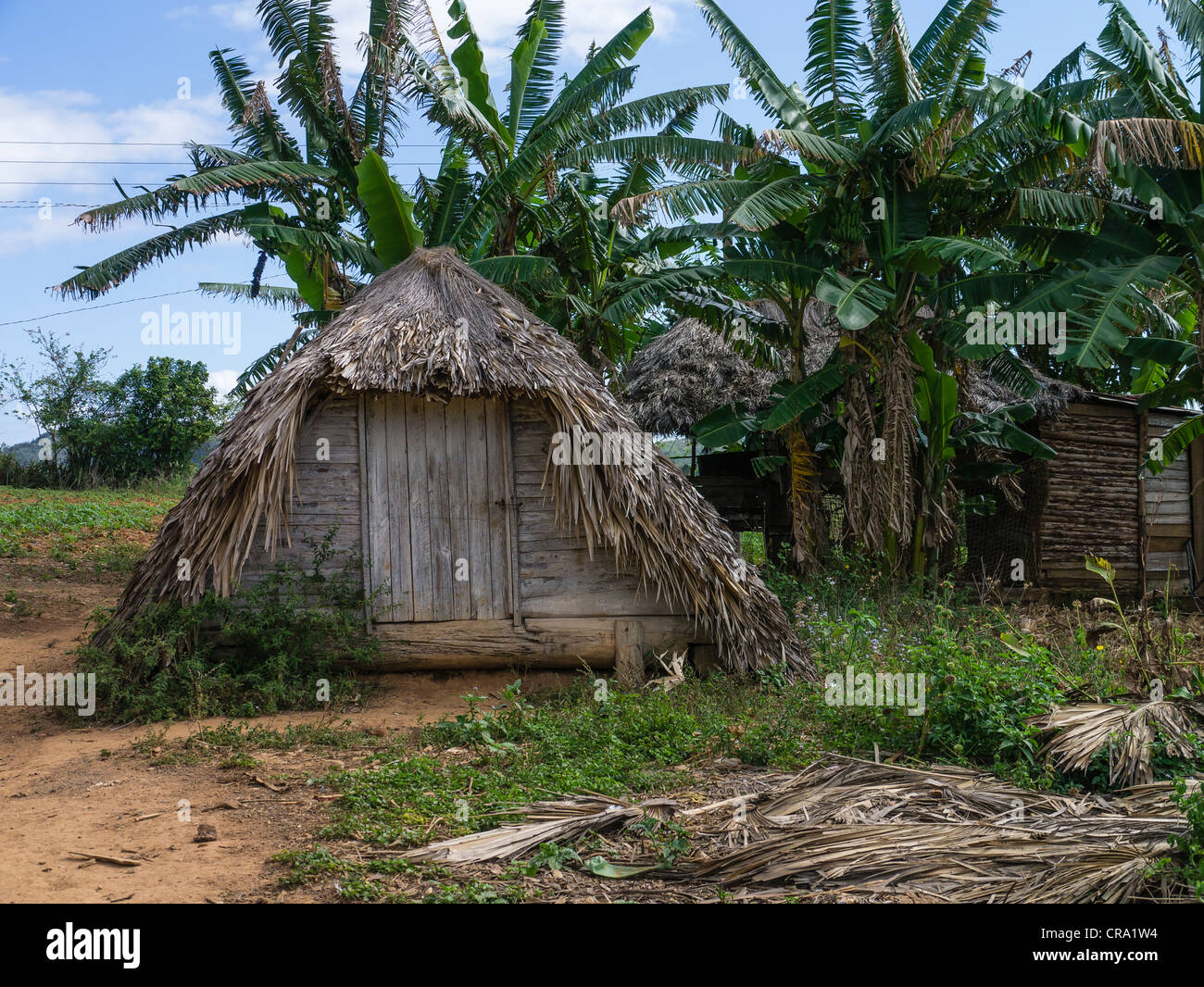 The front entrance of a typical hurricane shelter on a farm near the town of Viñales in western Cuba. Stock Photo