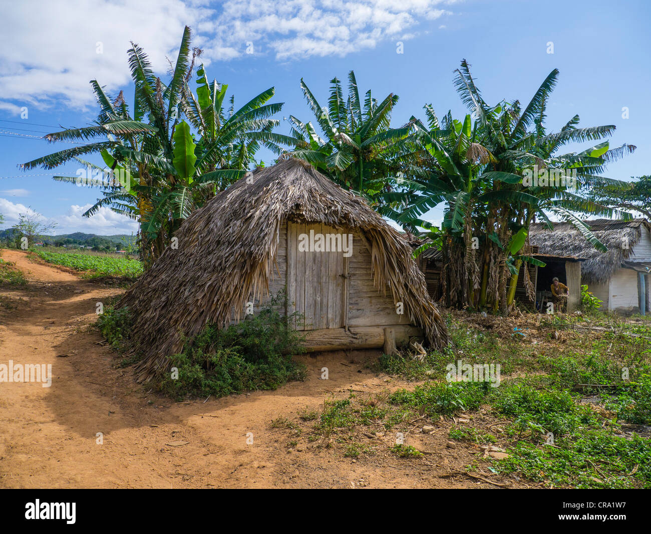 The front entrance of a typical hurricane shelter on a farm near the town of Viñales in western Cuba. Stock Photo