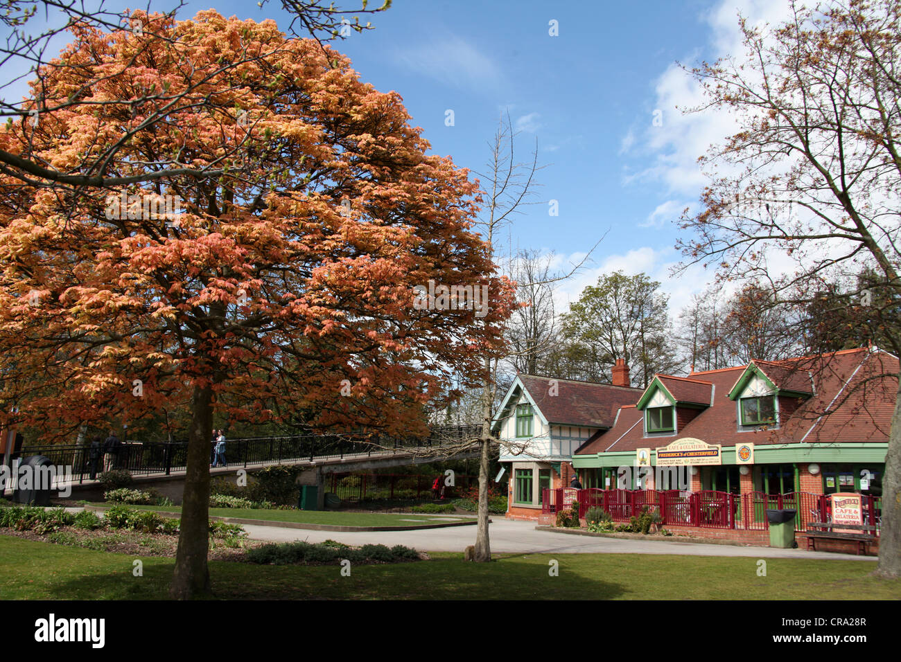 Queens Park in Chesterfield Stock Photo Alamy