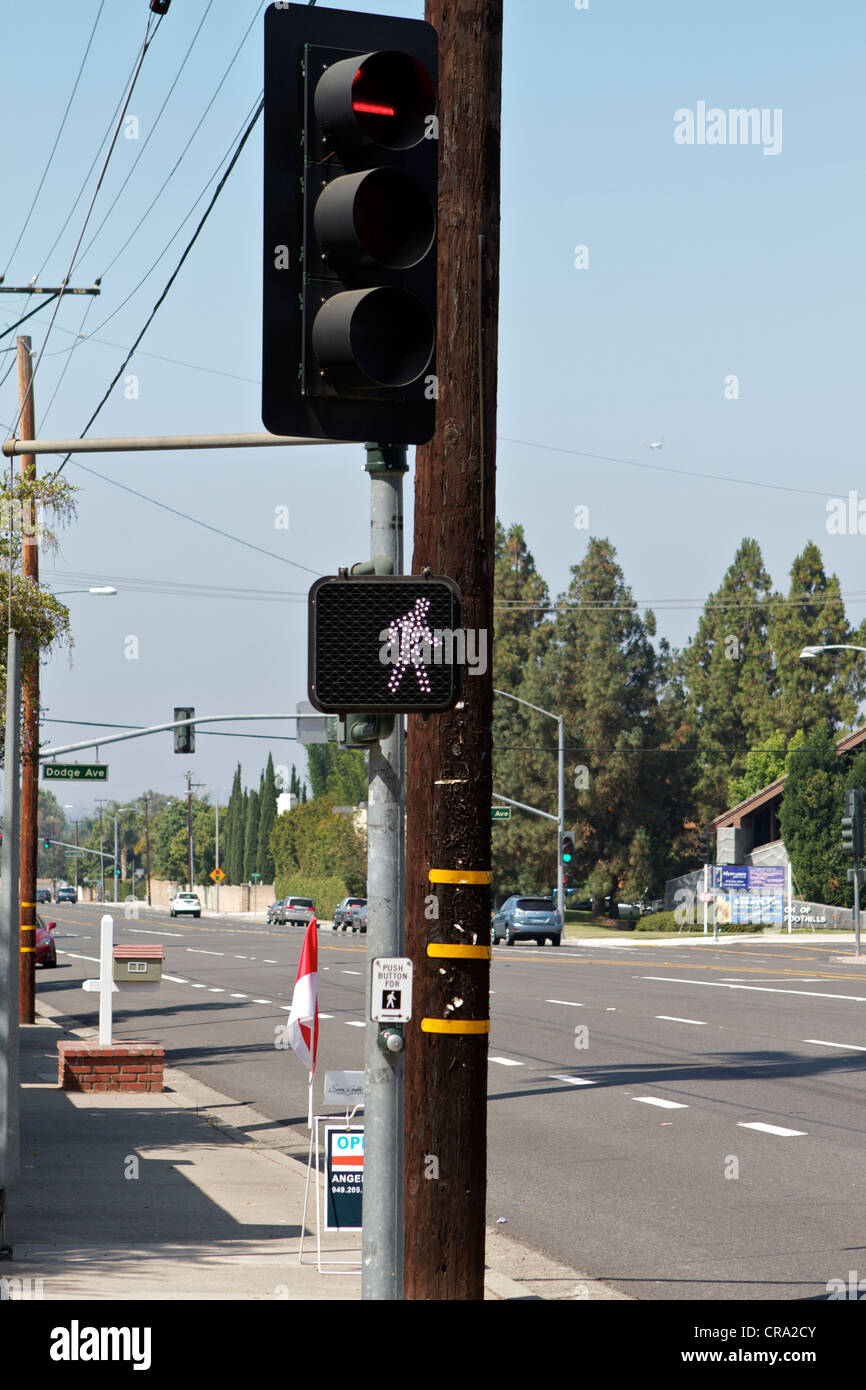 American pedestrian crosswalk sign at traffic light Stock Photo