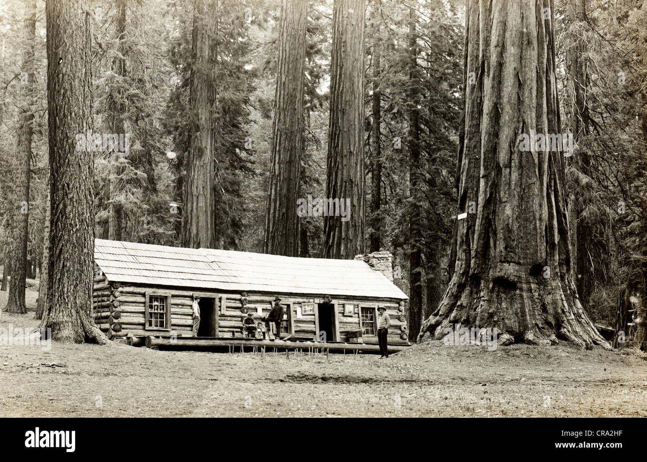 Four Men At Log Cabin Gift Souvenir Shop Among The Redwoods