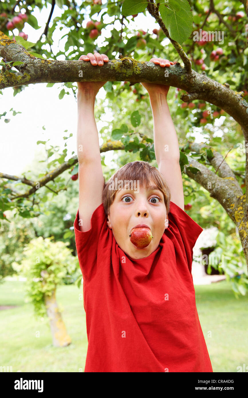 Boy with apple in his mouth playing in fruit tree Stock Photo