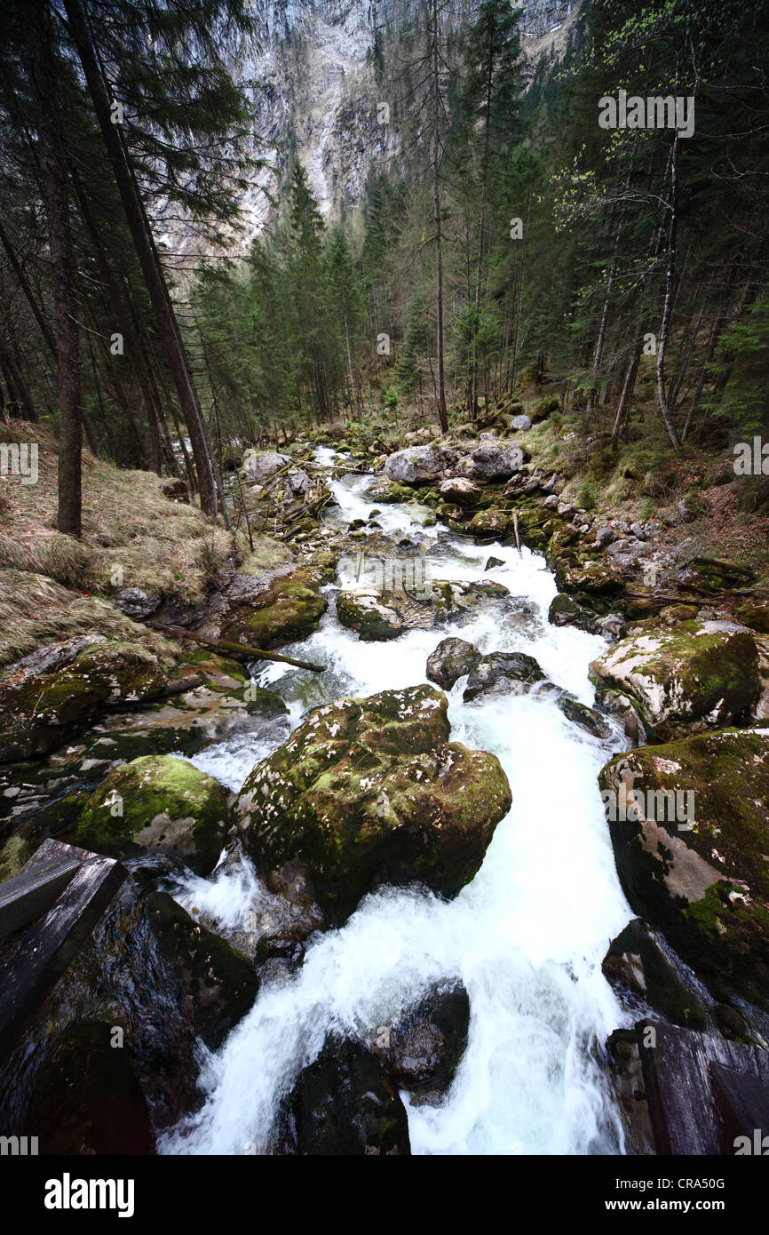 forest stream running over mossy stones in European Alps (Hallstatt, Salzkammergut, Upper Austria) Stock Photo