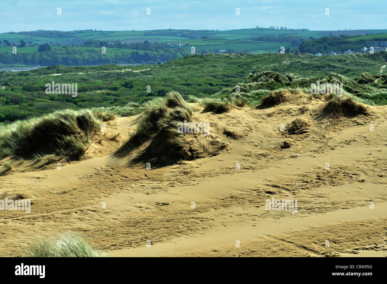 Braunton Burrows sand dune system north Devon NNR nature reserve UK Stock Photo