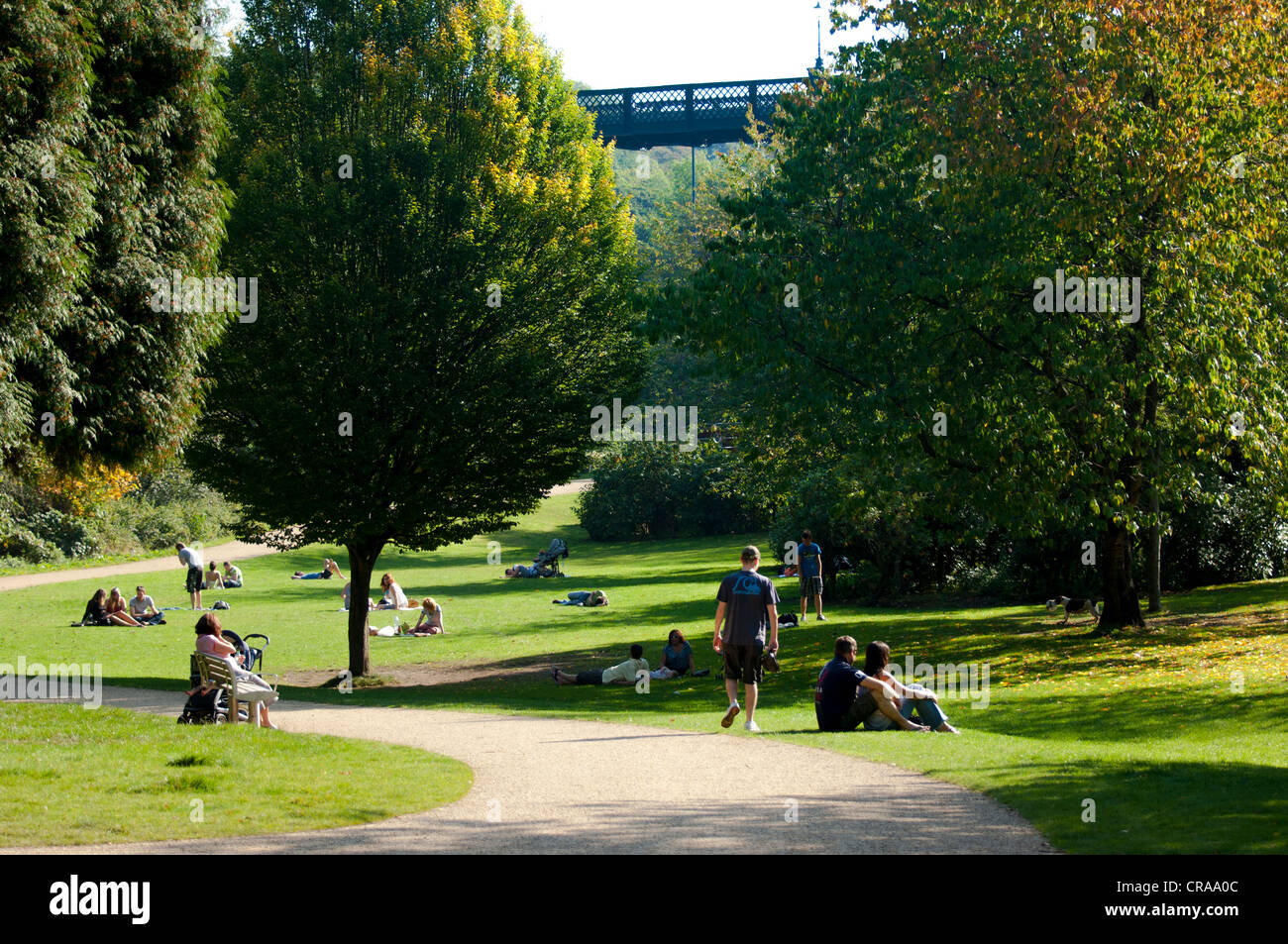 Jesmond Dene Stock Photo Alamy