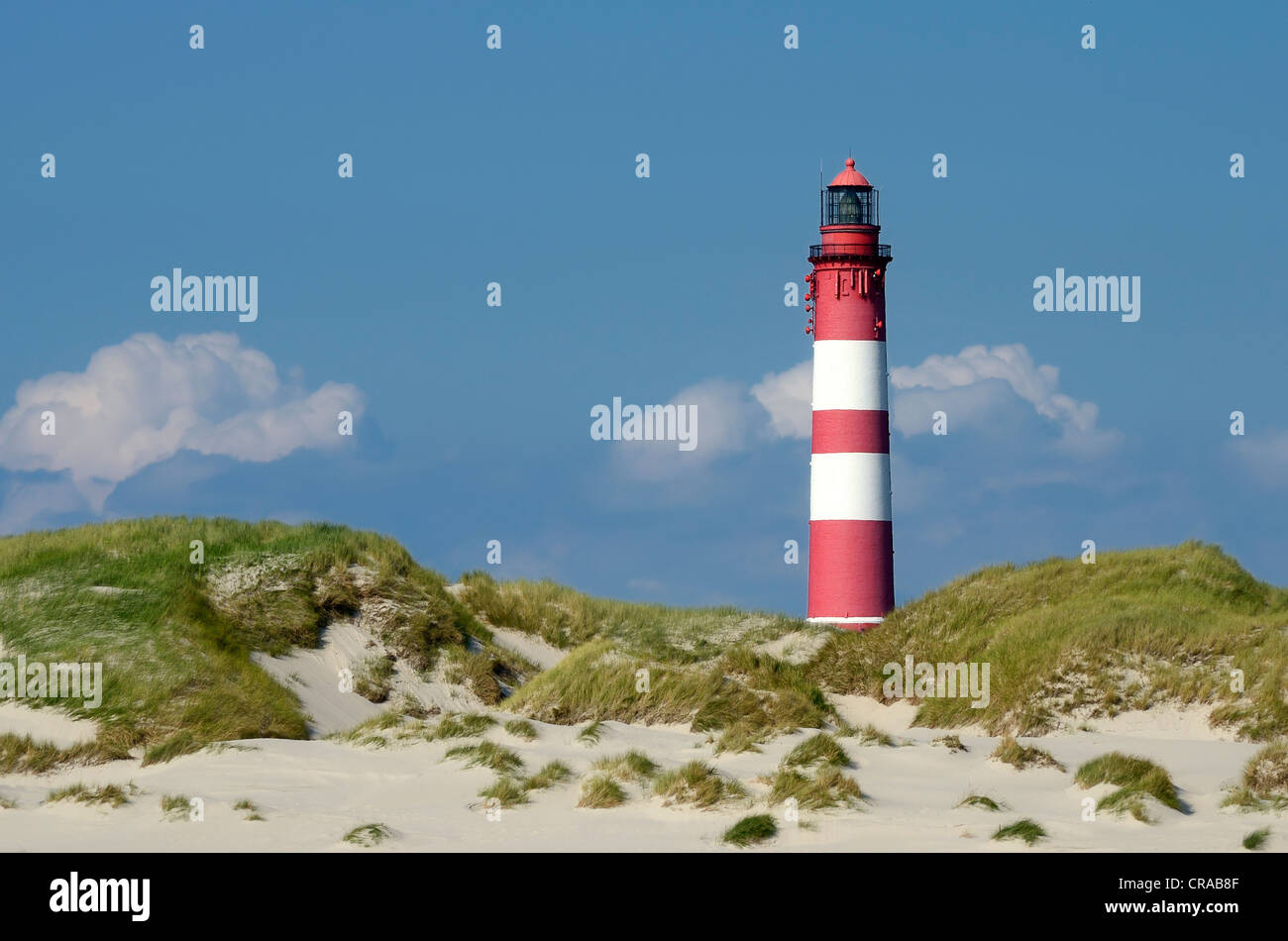 Amrum lighthouse on the dunes, Amrum Island, Nordfriesland, North Frisia, Schleswig-Holstein, Germany, Europe Stock Photo