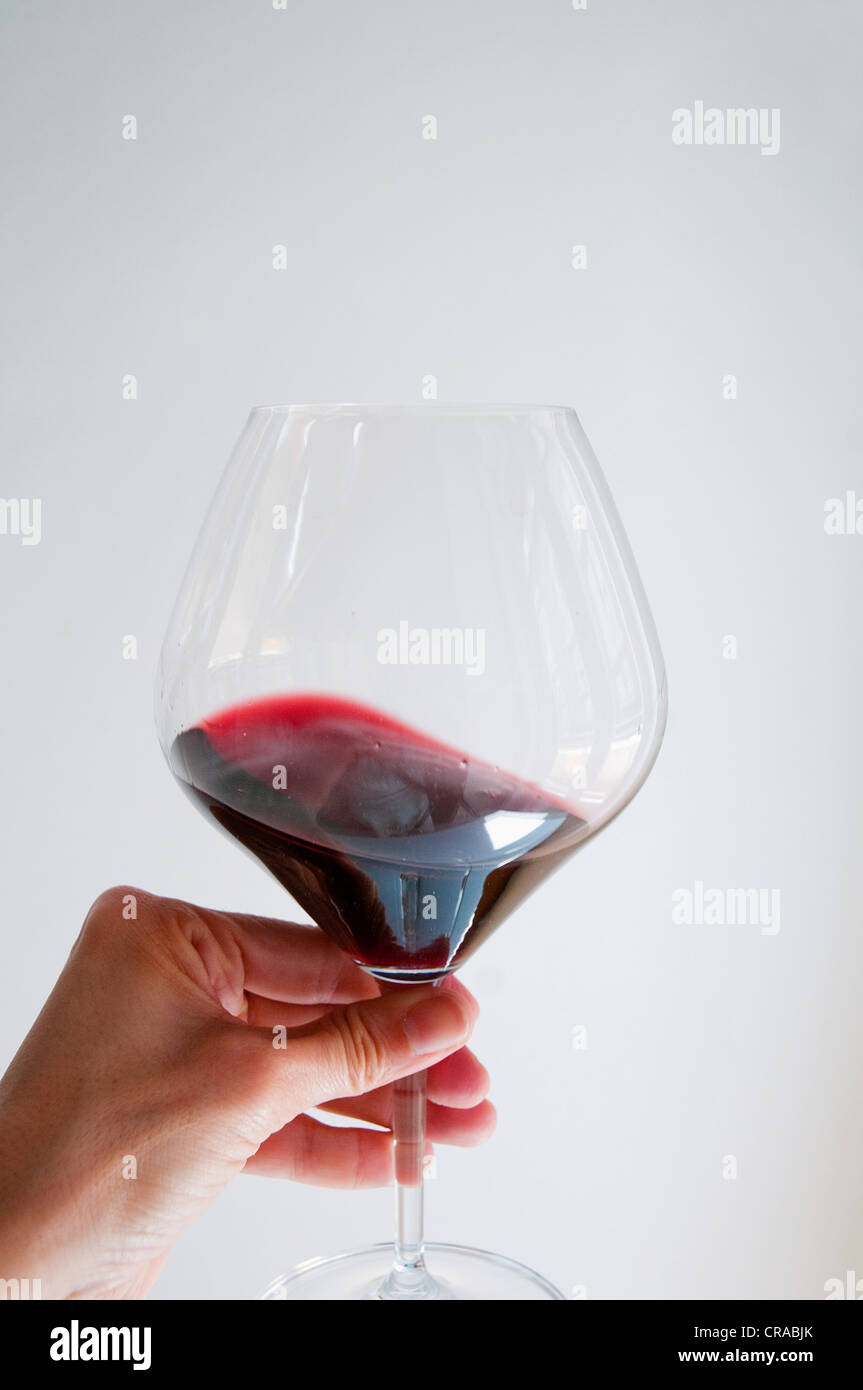 Woman's hand holding a glass of red wine, tasting it. Stock Photo