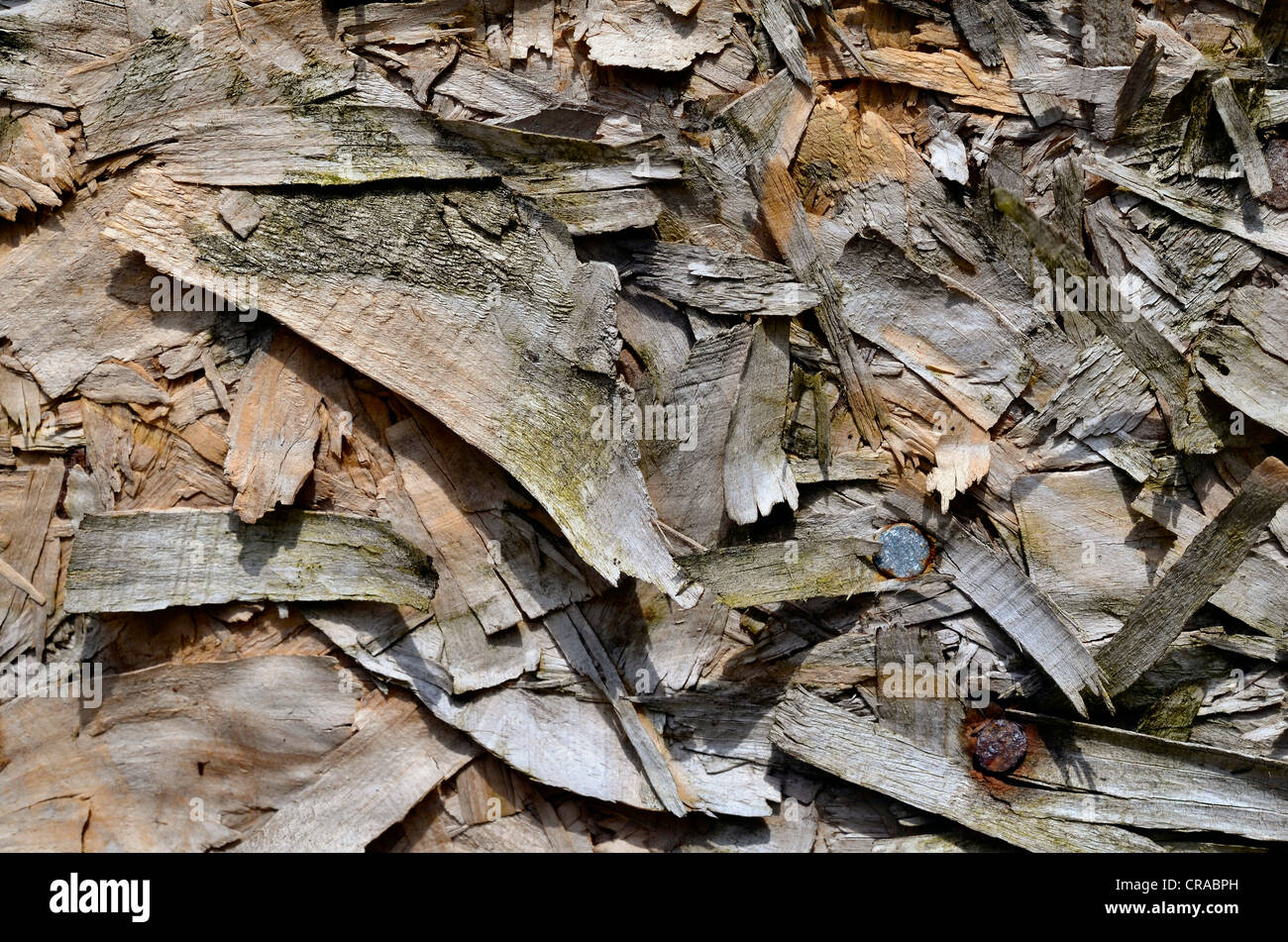 Close detail of weathered composite 'chip board'. Old plywood texture Stock Photo