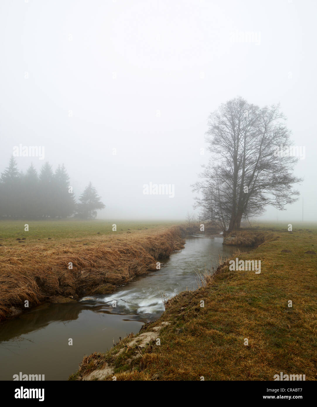 Schmutter River in the fog, Western Woods Nature Park, near Fischach, Bavaria, Germany, Europe Stock Photo