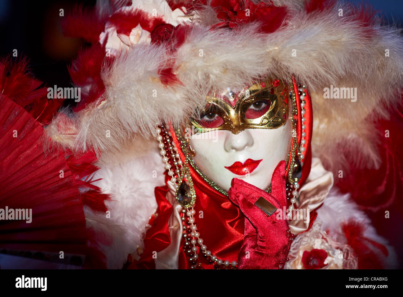 Carnival mask in Venice, Veneto, Italy, Europe Stock Photo