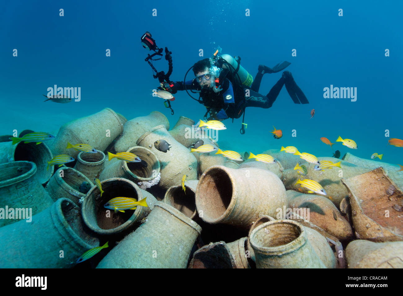 Diver with underwater camera looking at amphoras and fishes, Makadi Bay, Hurghada, Egypt, Red Sea, Africa Stock Photo