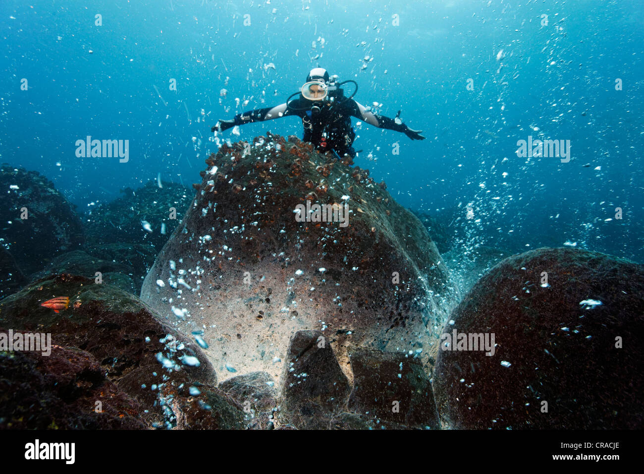 Diver measuring the spring with his armes, rocks over a volcanic hot spot, white mineral deposits, hot springs, gas bubbles, Stock Photo