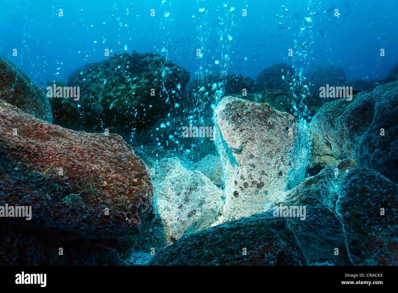 Rocks over a volcanic hot spot, white mineral deposits, hot springs, gas bubbles, overgrown, barnacles (Balanidae), Roca Redonda Stock Photo