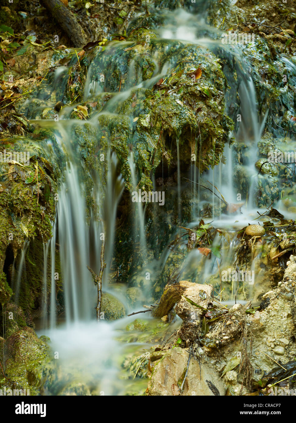 Small waterfall in the Eistobel gorge, Allgaeu, Bavaria, Germany, Europe Stock Photo