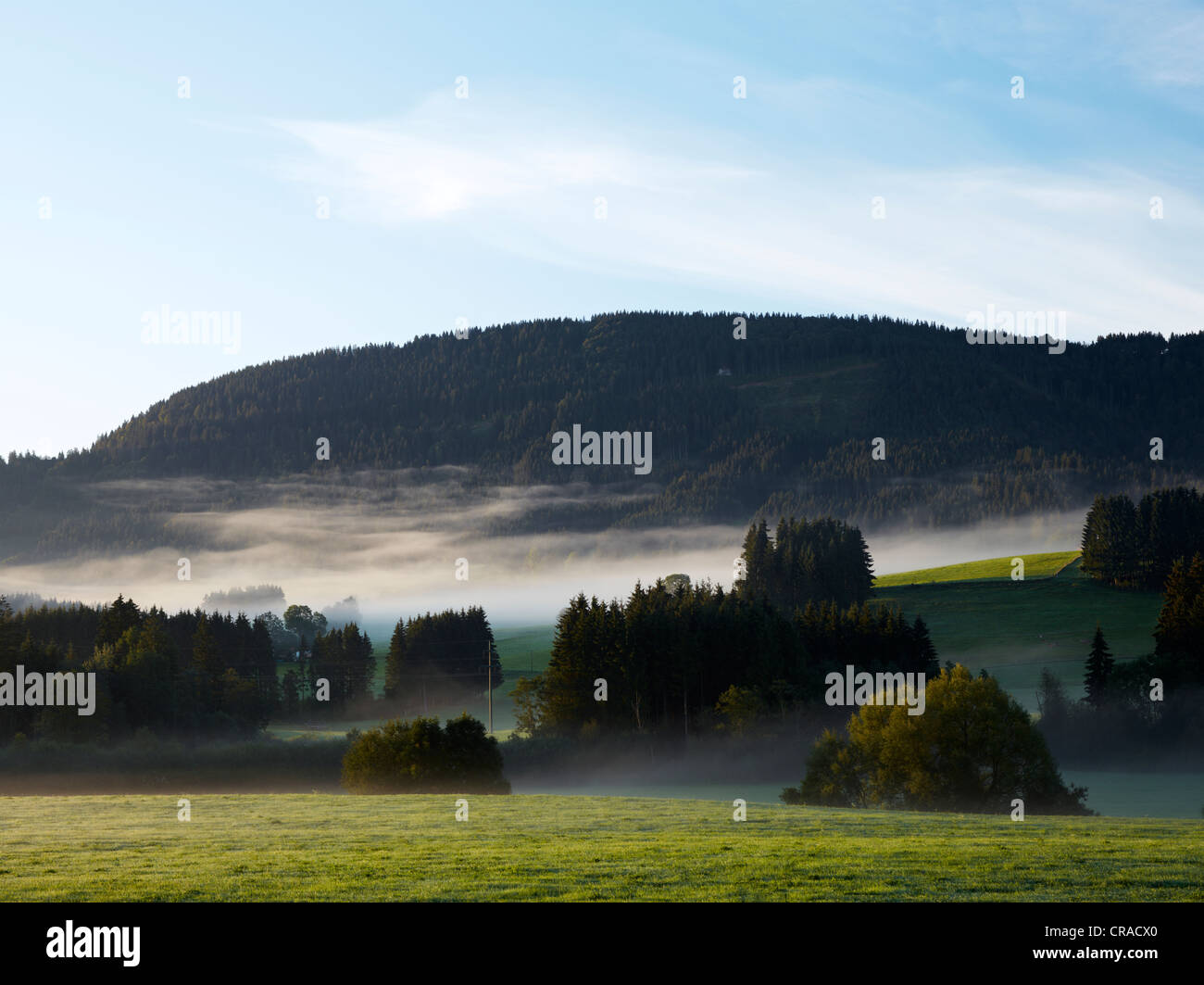 Morning mist above the Allgaeu region, near Weitnau, Bavaria, Germany, Europe Stock Photo