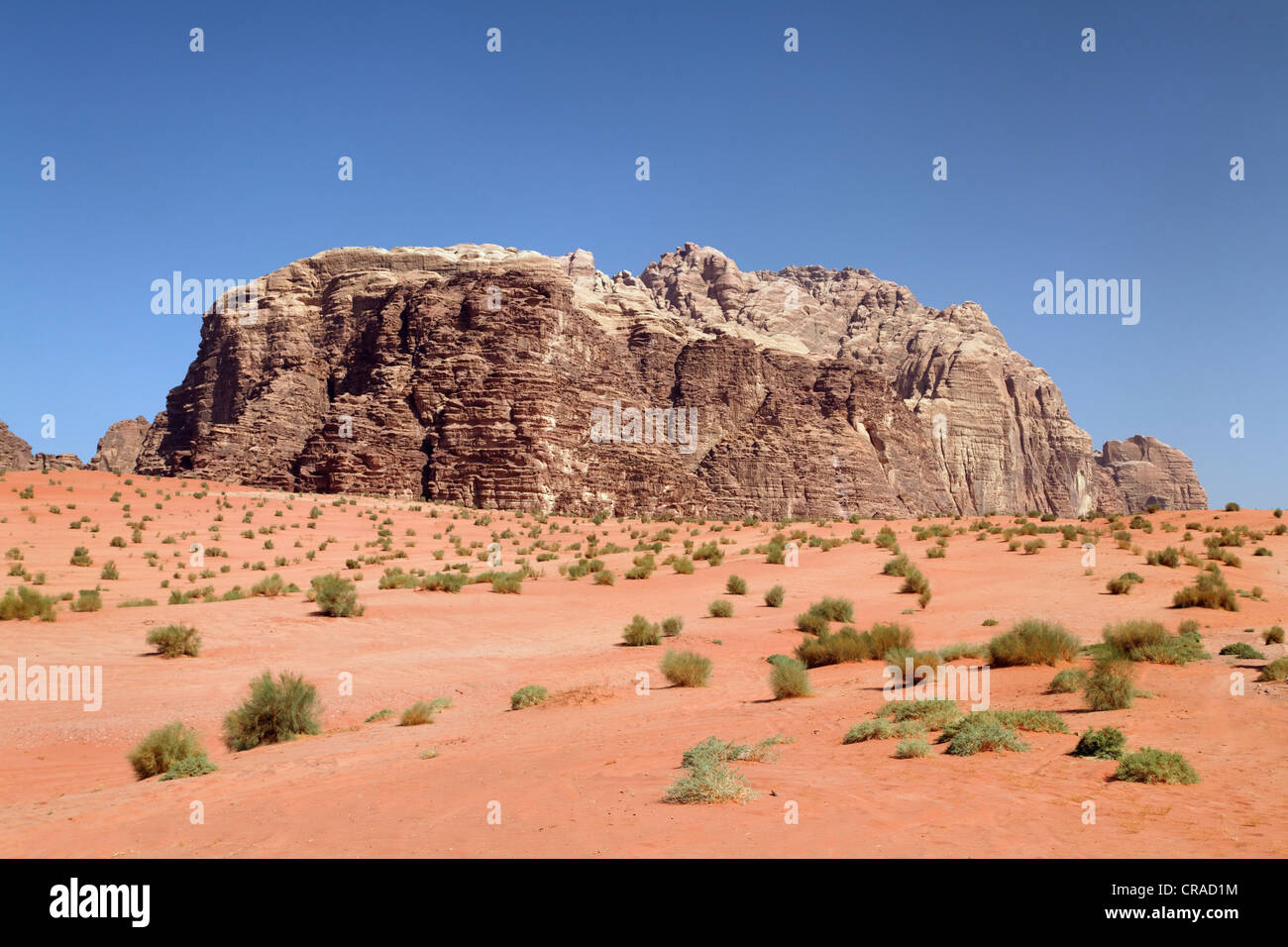 Mountains, vast plains and desert shrubs, Wadi Rum, Hashemite Kingdom of Jordan, Middle East, Asia Stock Photo