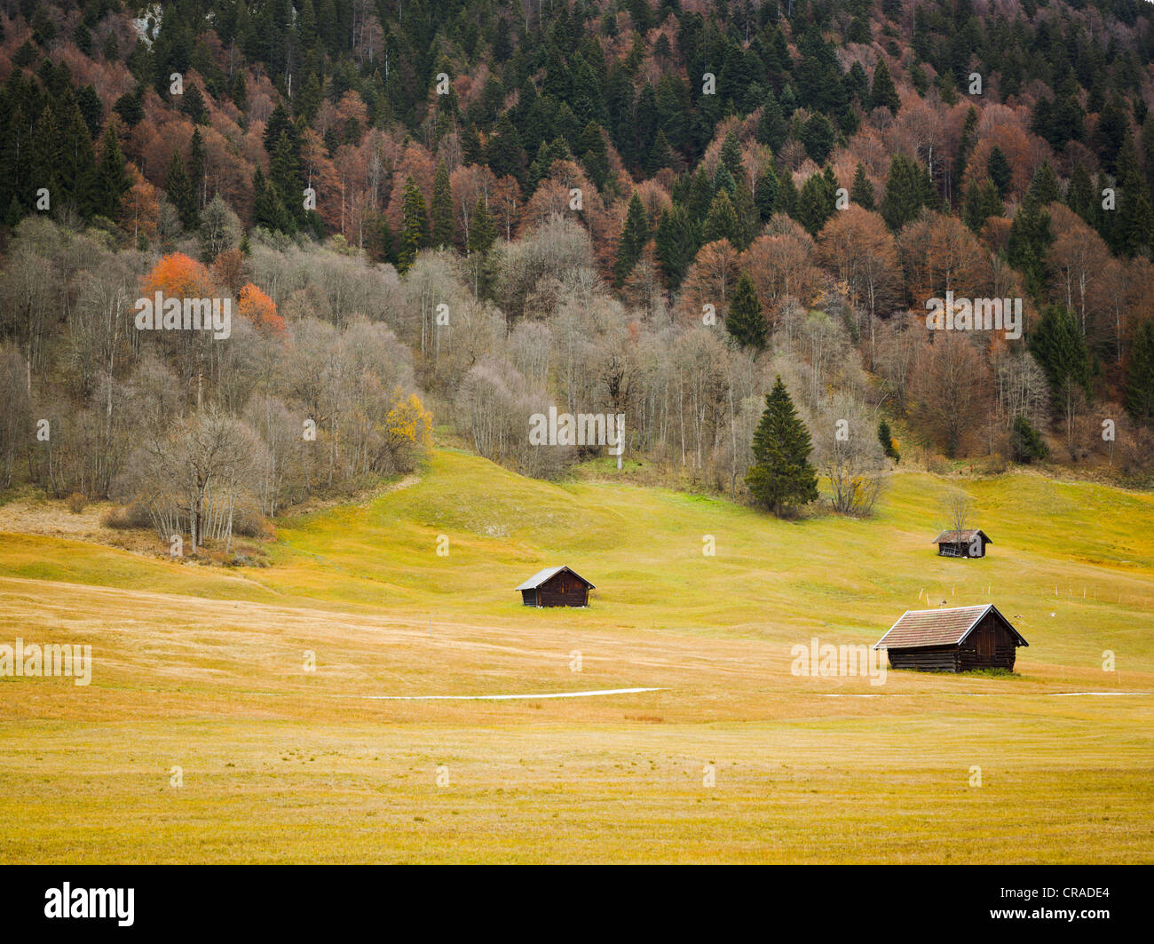 Autumn landscape, Gerold, Bavaria, Germany, Europe Stock Photo