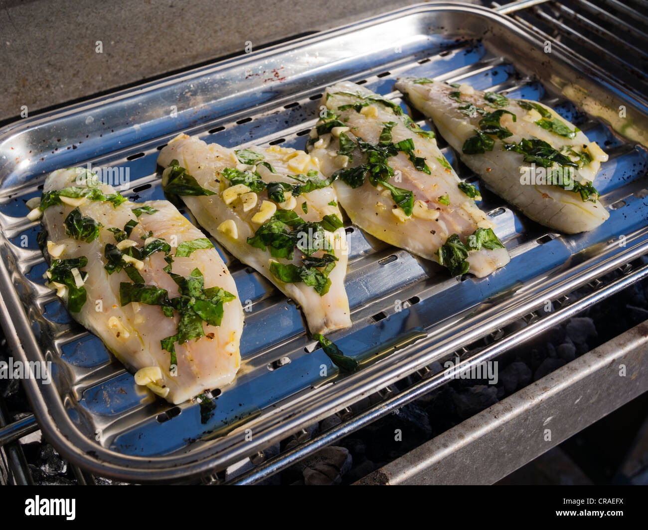 Gilthead seabream filets with basil and garlic are being grilled in a grill pan. Stock Photo
