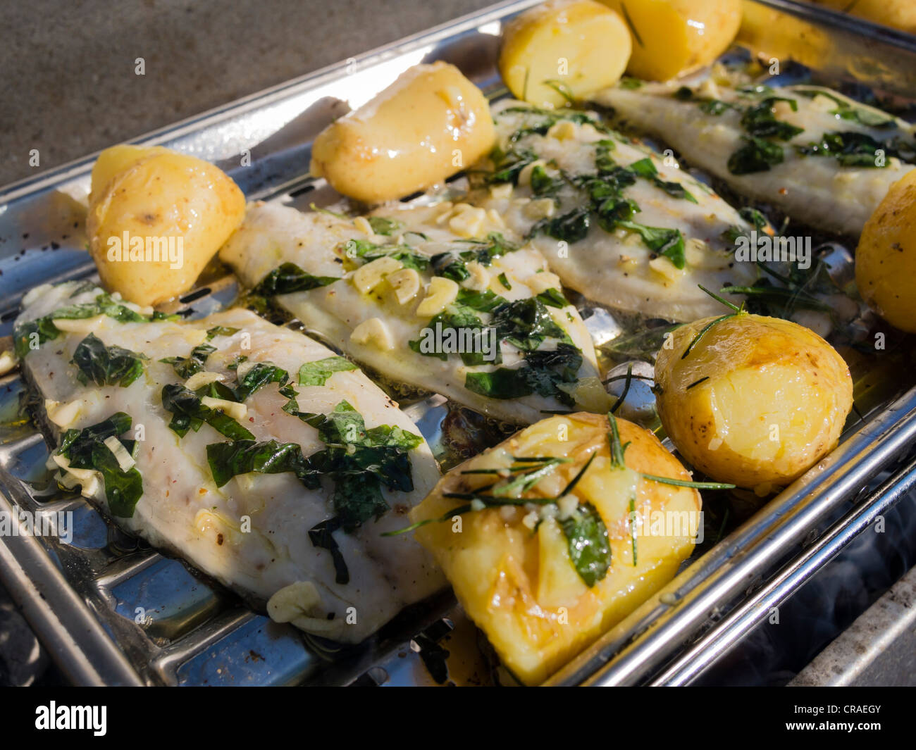 Gilthead seabream filets with basil and garlic are being grilled in a grill pan along with potatoes. Stock Photo