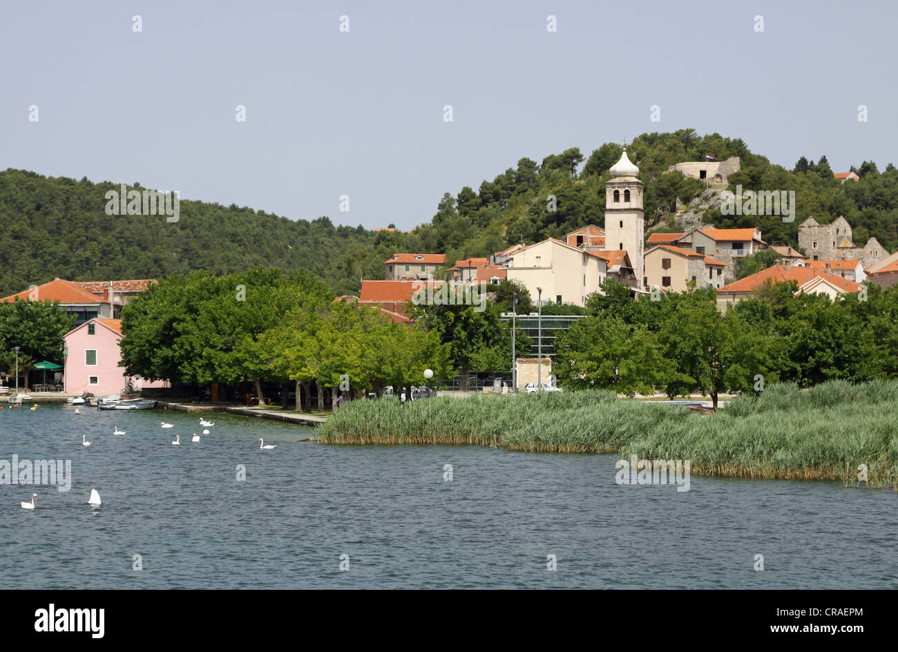 Krka River, Skradin, Dalmatia, Croatia, Europe Stock Photo