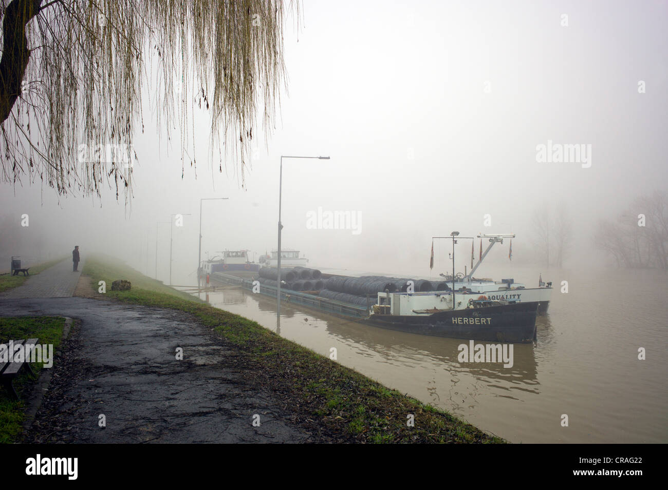 Ship anchored because of floodwaters on the Rhine river on a foggy day, flooded lock, Kostheim lock, Ginsheim-Gustavsburg Stock Photo